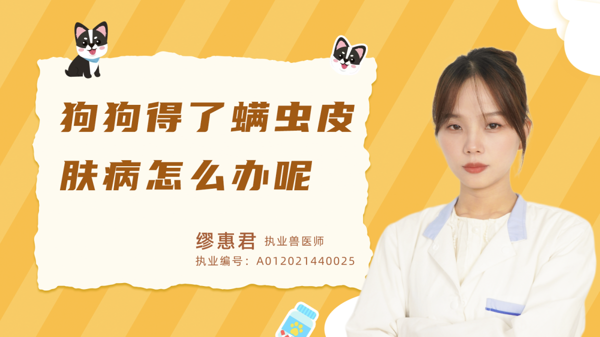狗狗得了螨虫皮肤病怎么办？