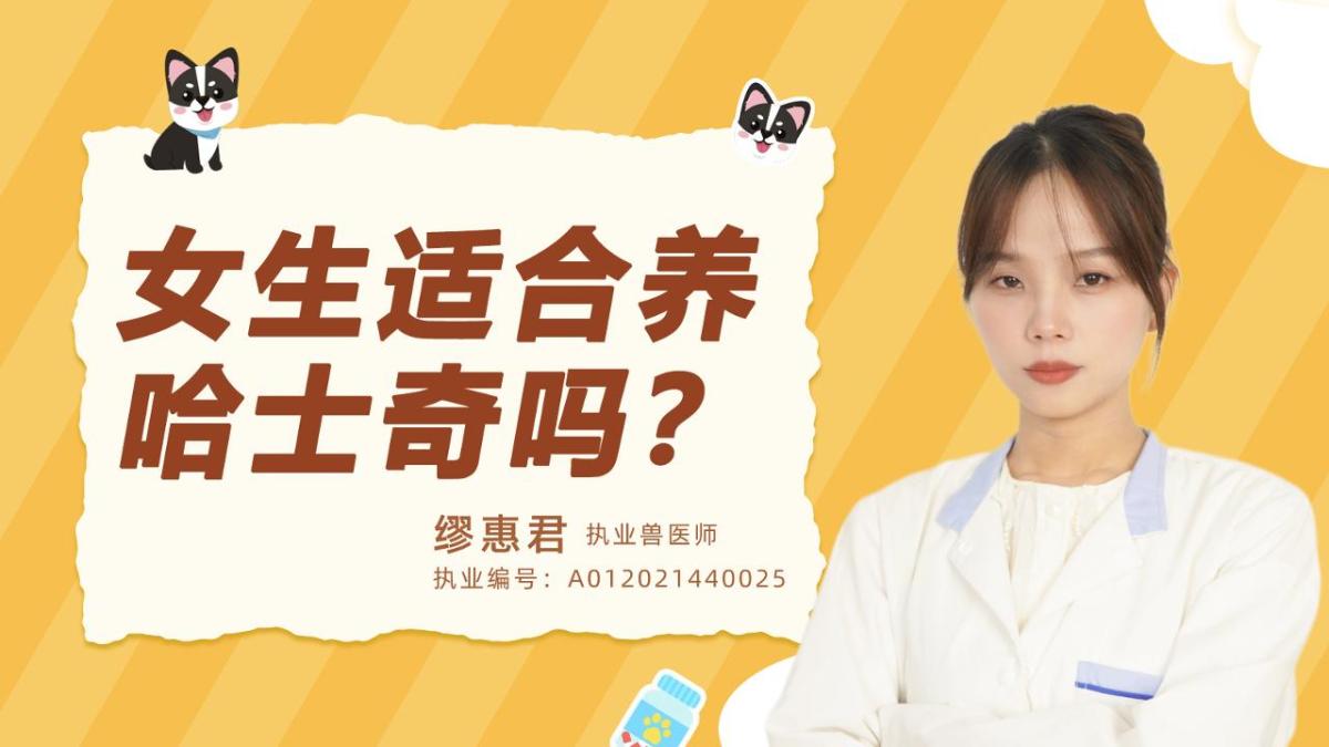 女生适合养哈士奇吗？