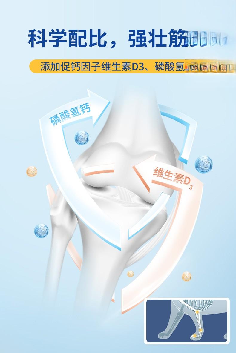 狗狗强壮筋骨