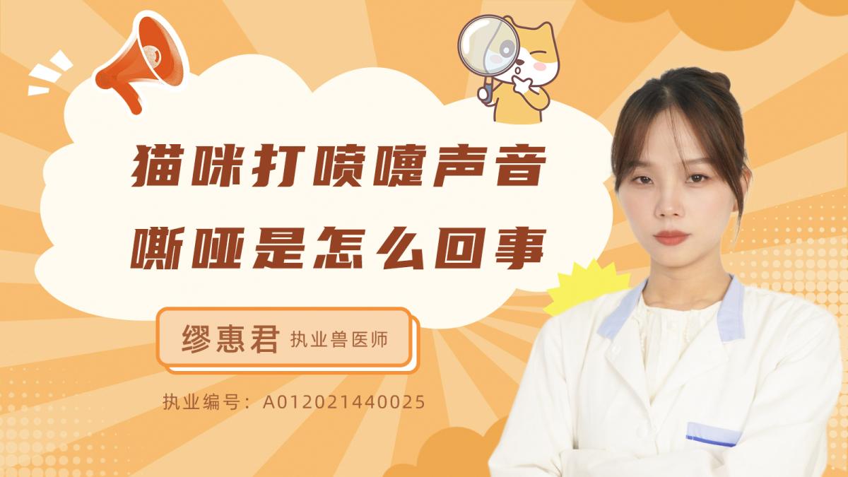 猫咪打喷嚏、声音嘶哑是怎么回事？