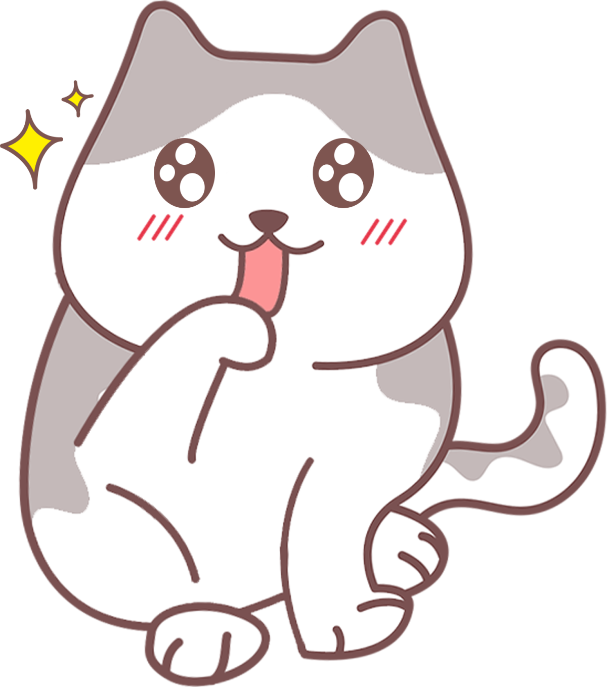 流浪猫体检