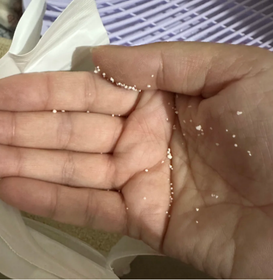 猫砂测评