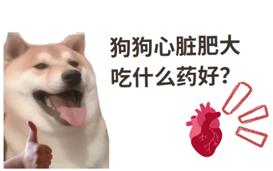 狗狗心脏不好吃什么药