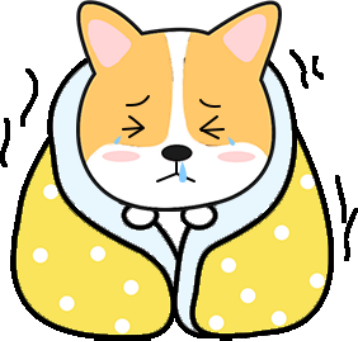 狗狗感冒