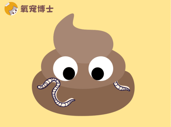 猫咪便便里有白色小虫？揭秘背后真相，再不处理就晚了！