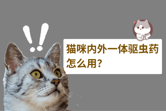 猫咪内外一体驱虫药怎么用？