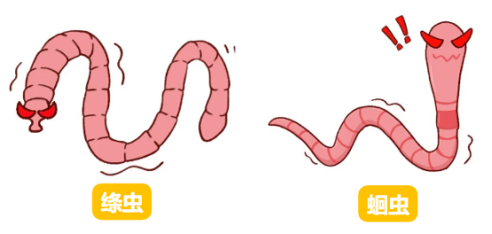小貓拉稀怎么回事？