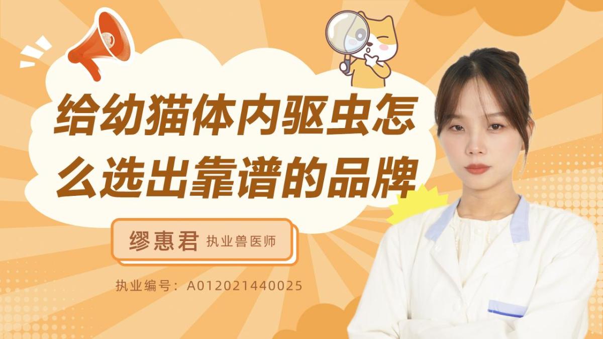 给幼猫体内驱虫怎么选出靠谱的品牌？