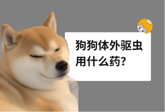 狗狗体外驱虫用什么药？