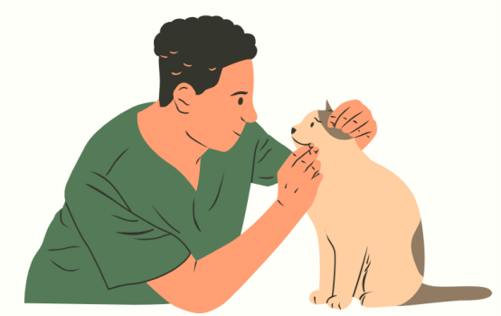猫咪眼睛老是流眼泪有分泌物用什么药？