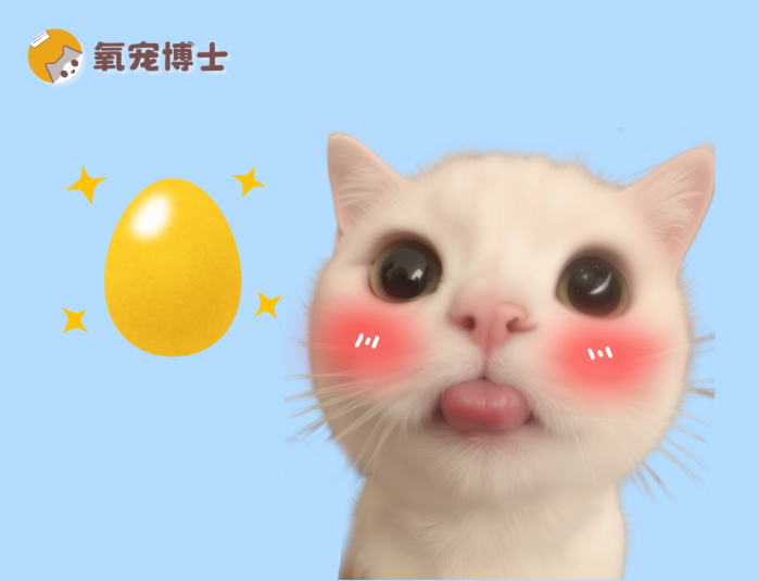 猫咪吃蛋黄不全是好处，警惕这些风险！