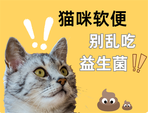 猫咪软便不要盲目吃益生菌