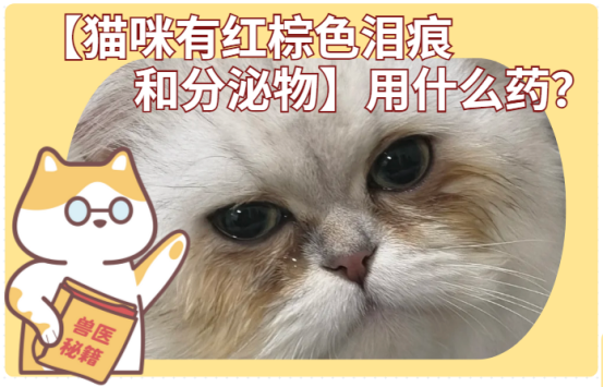 猫咪有红棕色泪痕和分泌物用点什么药？