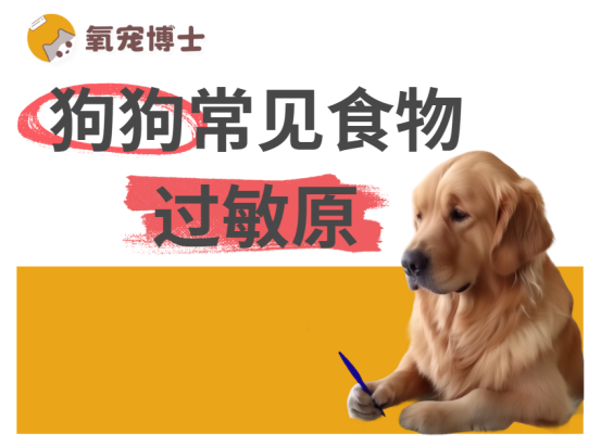 常见的狗狗食物过敏原