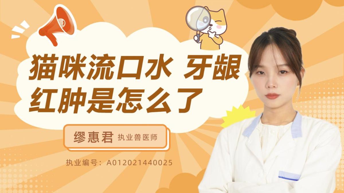 貓咪流口水、牙齦紅腫是怎麼了呢？
