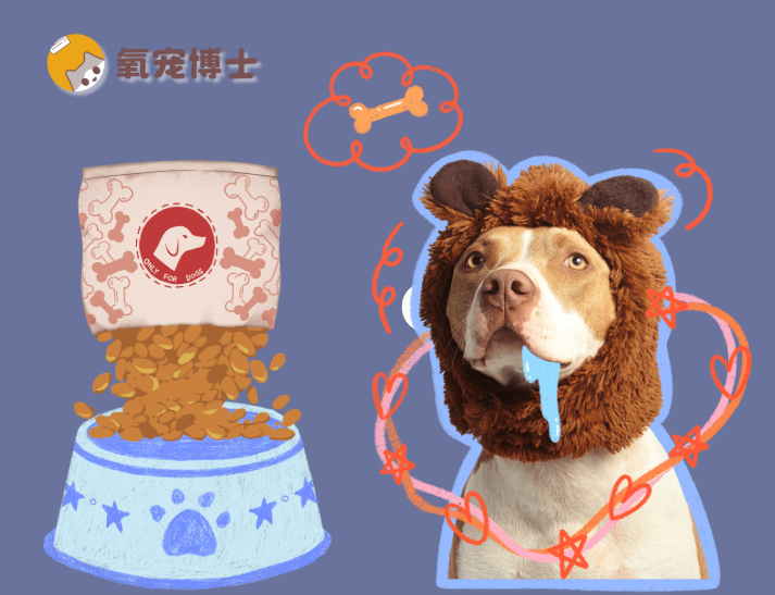 别再被“网红狗粮”坑了！怎么避开垃圾狗粮？