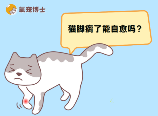猫脚瘸了能自愈吗