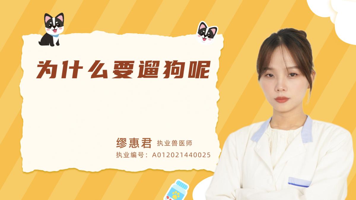 為什么要遛狗呢？