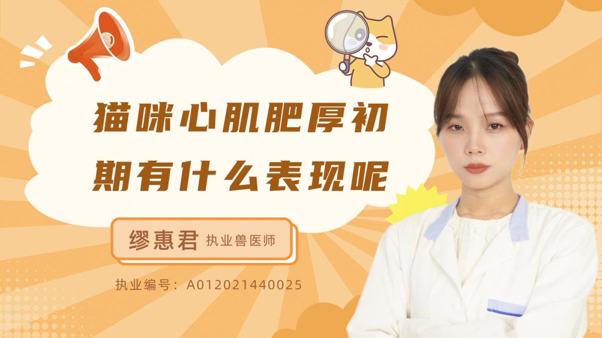 猫咪心肌肥厚初期有什么表现呢？