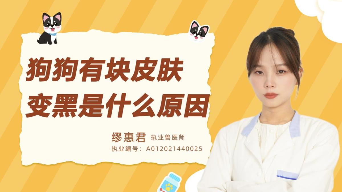 狗狗有块皮肤变黑是什么原因？