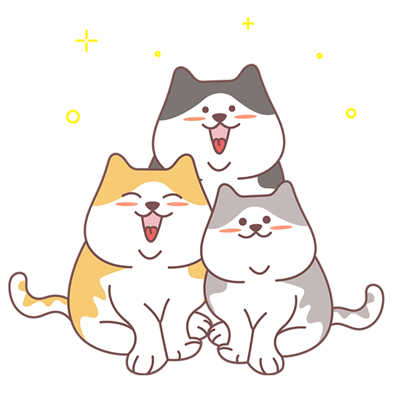 怎么让猫咪更粘人