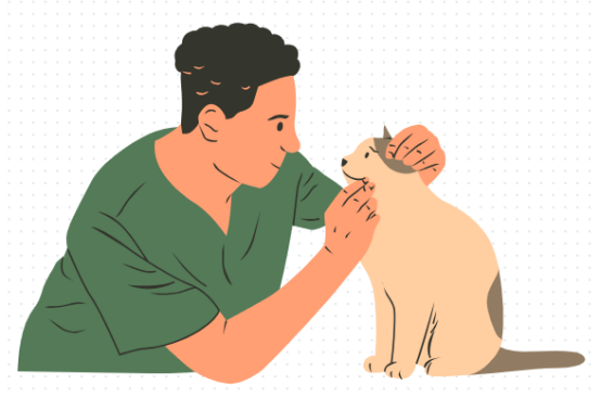 猫咪流黄鼻怎么办