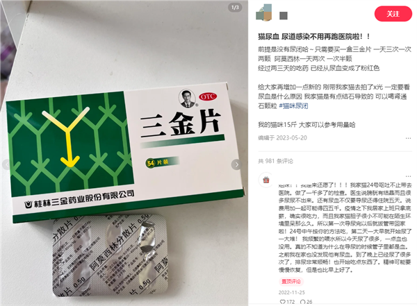 貓咪尿頻尿血吃三金片有用嗎？