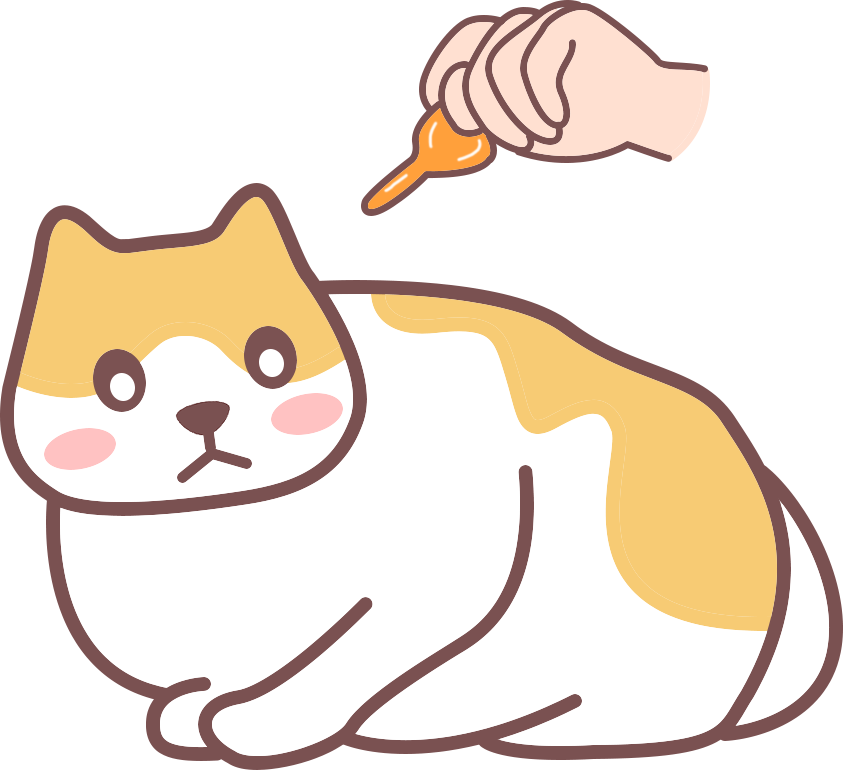 猫驱虫