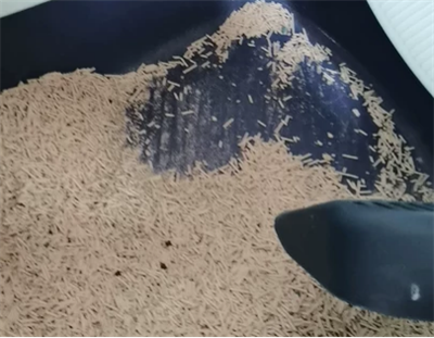 鸟语花香猫砂