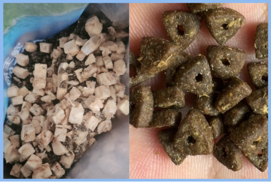 宠王府深海鱼猫粮怎么样？