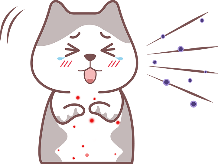 貓咪下嘴唇腫了一塊怎麼回事？