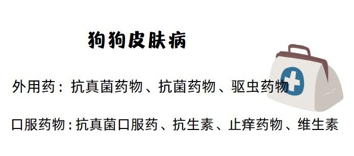 狗狗皮膚病癢得難受？試試這些實用對策！