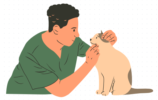 猫得了猫癣怎么治疗？