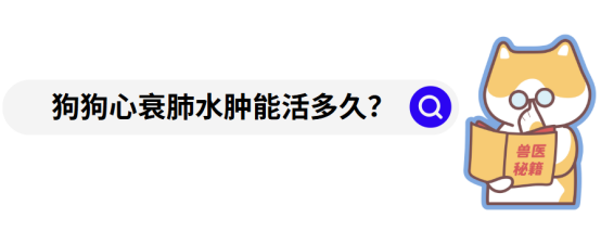 狗狗心衰肺水肿怎么治疗？