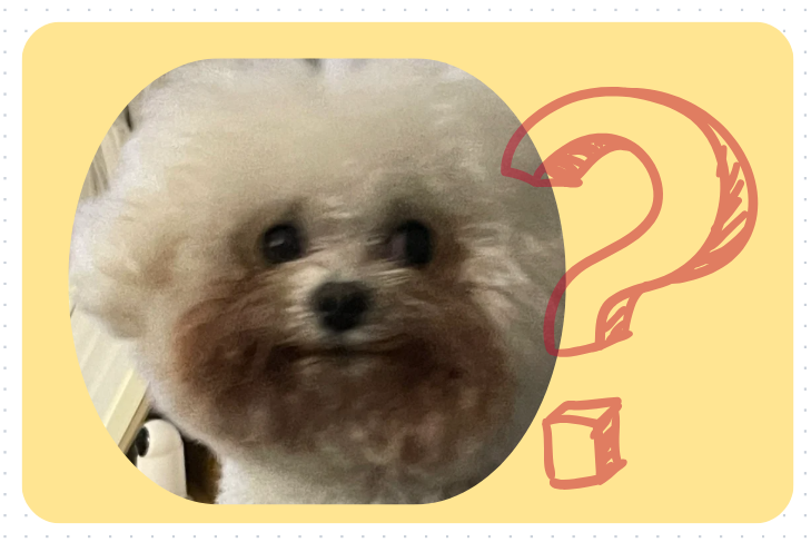 小狗有泪痕是什么原因？怎么处理？