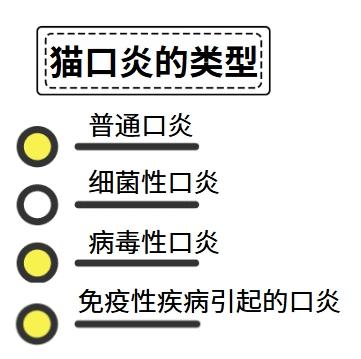 高效治療貓口炎，這些藥物是關鍵