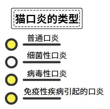 高效治疗猫口炎，这些药物是关键