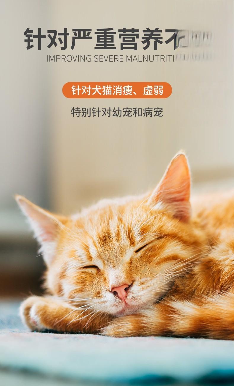 猫犬严重营养不良