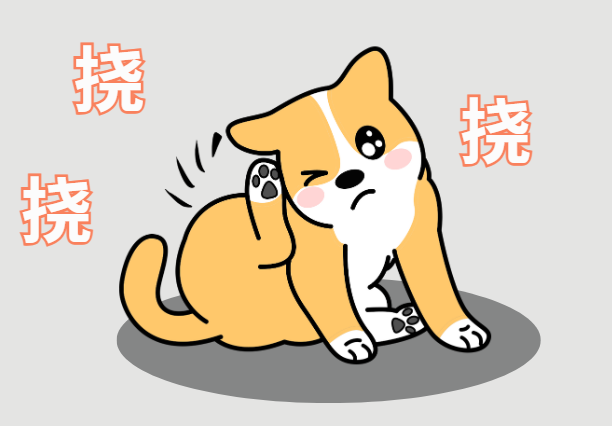 狗狗经常抓耳朵是怎么回事？可能是病！