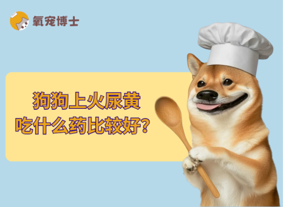 狗狗上火尿黄吃什么药比较好？