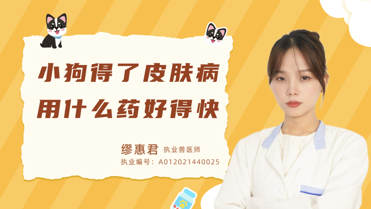小狗得了皮膚病用什麼藥好得快呢？