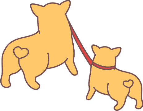 狗狗过年怎么办？