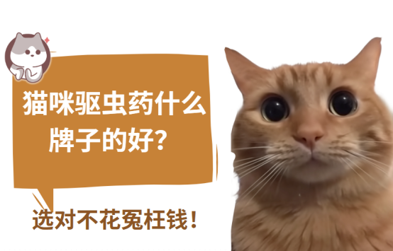 猫咪驱虫药什么牌子的好？