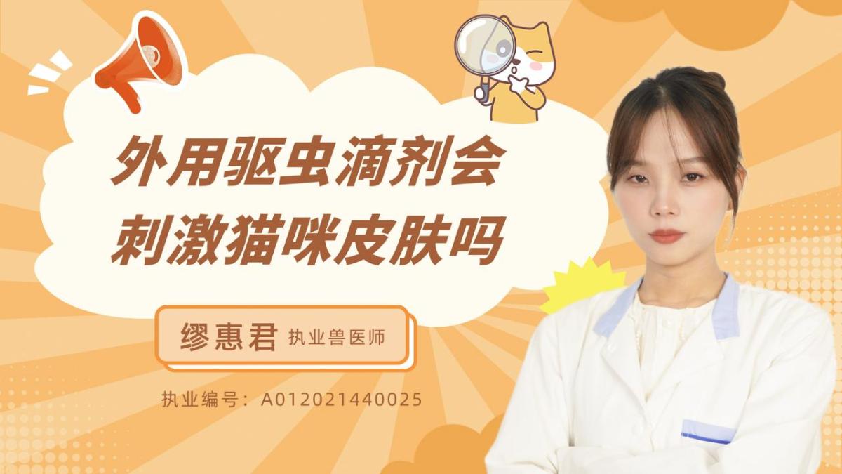 外用驱虫滴剂会刺激猫咪皮肤吗？