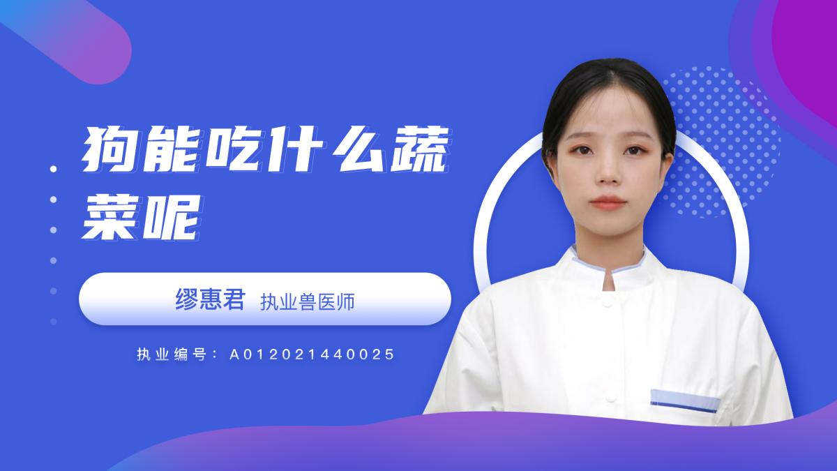 狗能能吃什么蔬菜呢？