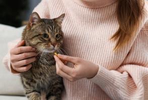 猫吃鱼油可以防止掉毛吗？揭秘鱼油的功效和作用