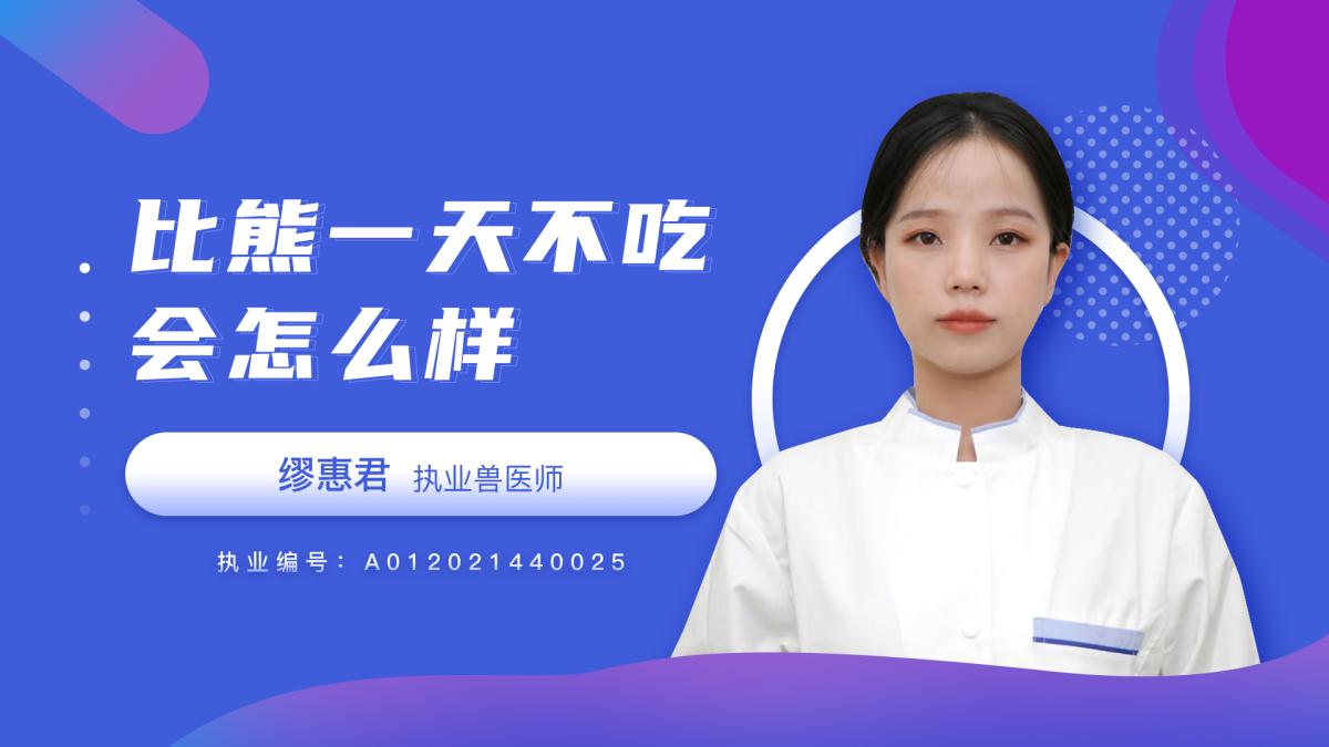 比熊一天不吃会怎么样？