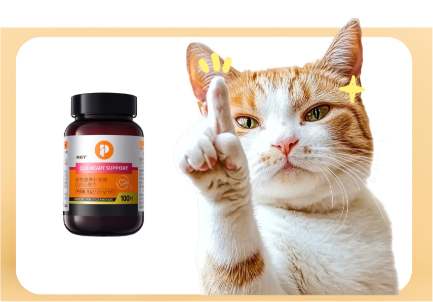 猫咪辅酶Q10吃多少合适？