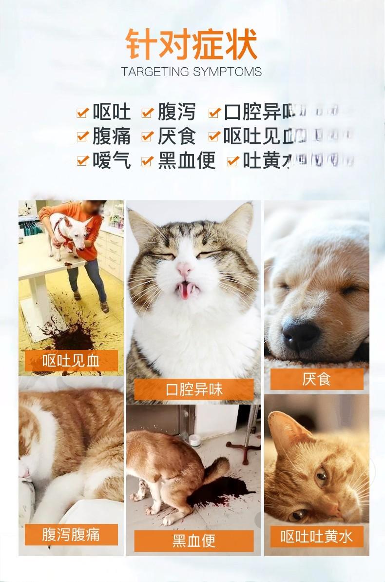 猫犬呕吐腹泻厌食症状