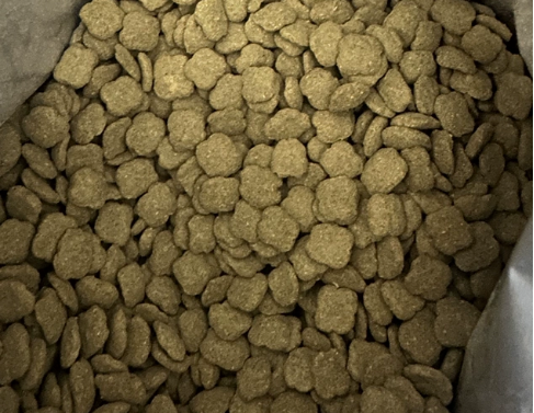 宠率狗粮怎么样？